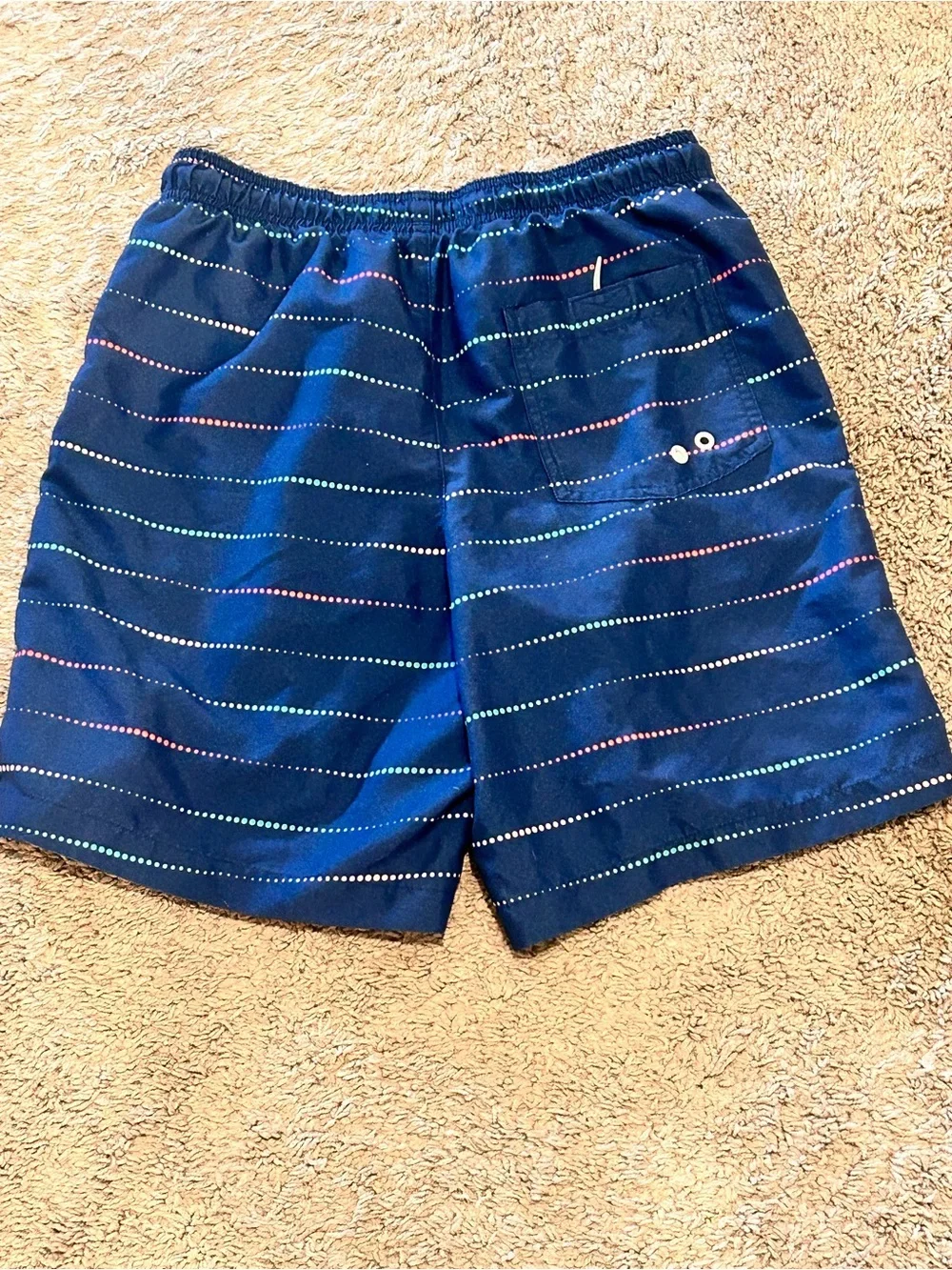 American Eagle Outfitters Navy Swim Trunks with Multicolor Dotted Stripes Small